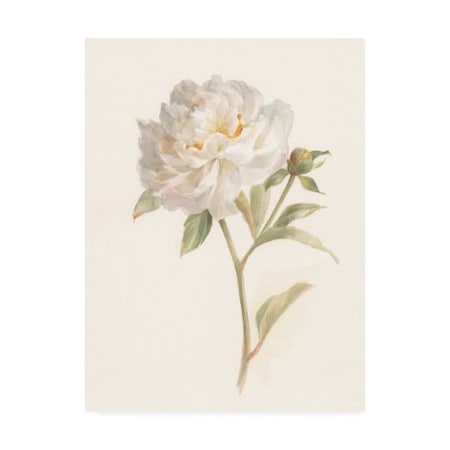 Danhui Nai 'Garden Peony' Canvas Art,14x19